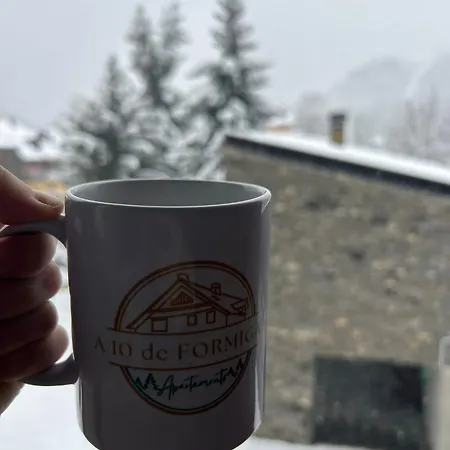 A10 De Formigal, Amplio Y Con Garaje *